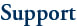 Image of the word support