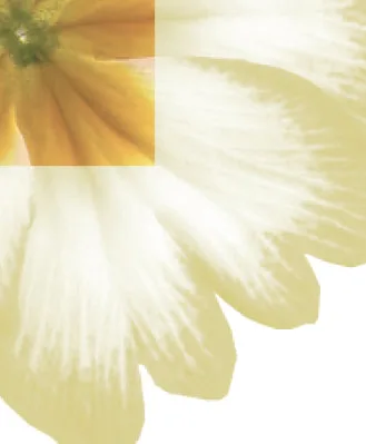 Close up of the Flower - Any Occasion Blank Card